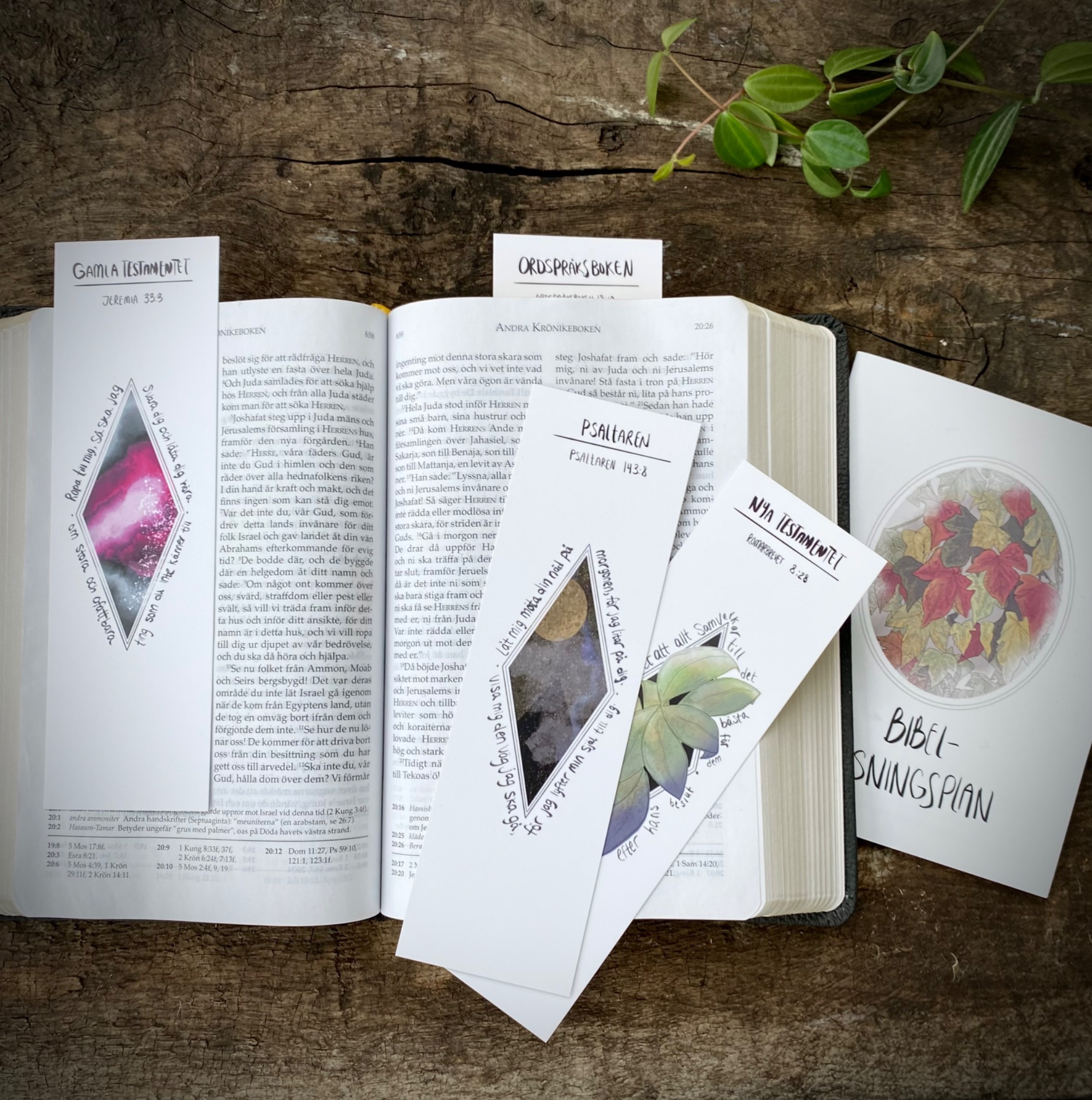 Bibelläsningset med 4 bibelbokmärken och bibelläsningsplan.